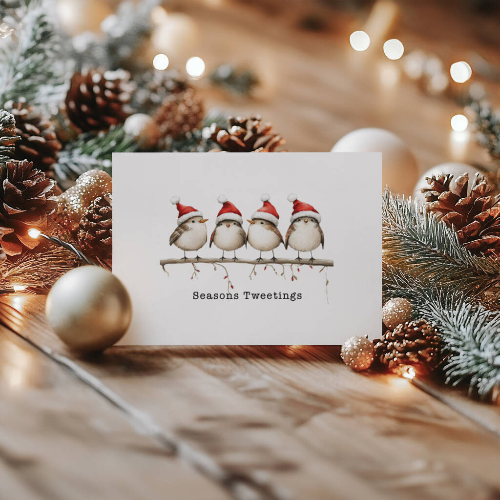 Funny Birds Christmas Card Pack, 1 of 4