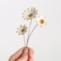 Ceramic White And Gold Flower Stems Set In Three Styles, thumbnail 1 of 6