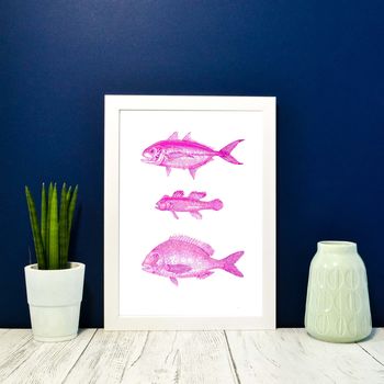 Framed Vintage Pink Fish Illustration Print, 4 of 6