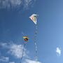 Peace Kite, thumbnail 4 of 6