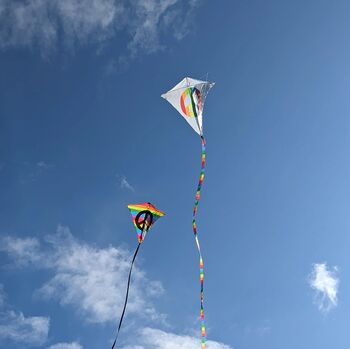 Peace Kite, 4 of 6