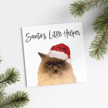 Personalised Pet Christmas Card, 6 of 7