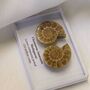 Cleoniceras Ammonite Fossil Pair, thumbnail 5 of 10