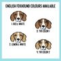 English Foxhound T Shirt, thumbnail 5 of 6