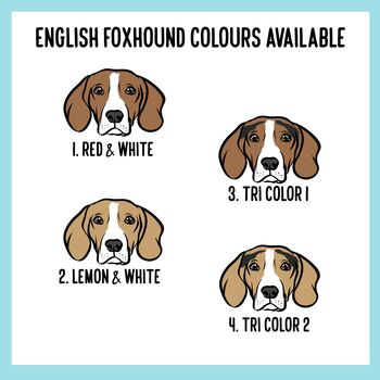 English Foxhound T Shirt, 5 of 6