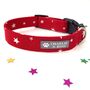 Red Star Dog Collar For Boy Or Girl Dogs, thumbnail 1 of 3