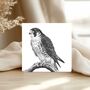 Peregrine Falcon Wildlife Greeting Card, thumbnail 1 of 6