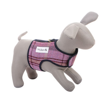 Shetland Wool Dog Harness, 2 of 5
