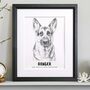 Personalised Pet Dog Portrait Sketch, thumbnail 2 of 12