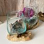 Handcrafted Double Molten Glass On Driftwood Melted Glass Bowl, thumbnail 10 of 12