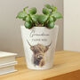 Personalised Highland Cow Plant Pot, thumbnail 2 of 2