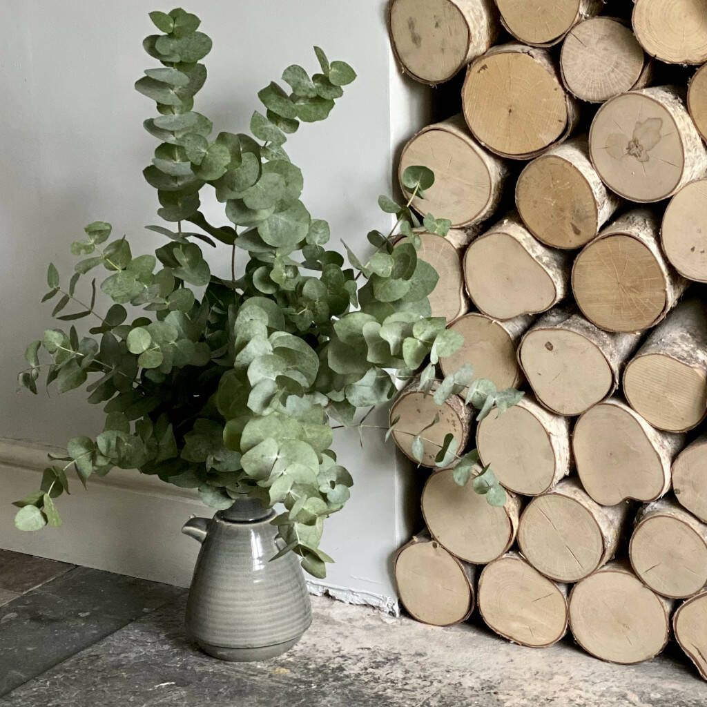 Fresh Cut Eucalyptus Cineria Greenery By The Florist's Daughter
