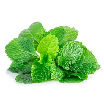 Herb Plants Garden Mint Nine X Plug Pack, 8 of 10