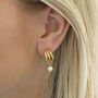 Gold Plated Triple Hoop Pearl Earrings, thumbnail 5 of 5