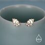 Cute Hermit Crab Stud Earrings In Sterling Silver, thumbnail 6 of 12