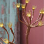 Wild Fennel Branch Lights, thumbnail 1 of 2