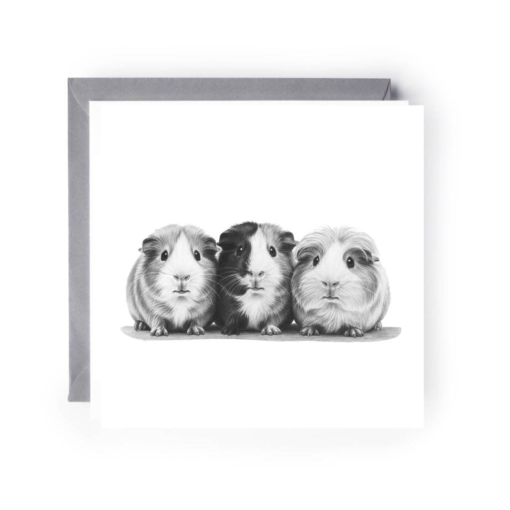 Cute Hand Drawn Guinea Pigs Greeting Card, 1 of 4