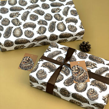 Hedgehog Watercolour Wrapping Paper, 6 of 10