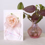 Mother's Day Rose Card, thumbnail 4 of 11