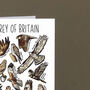 Birds Of Prey Of Britain Greeting Card, thumbnail 7 of 7