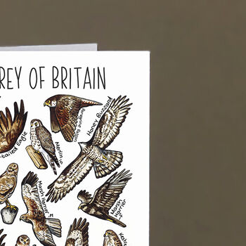 Birds Of Prey Of Britain Greeting Card, 7 of 7