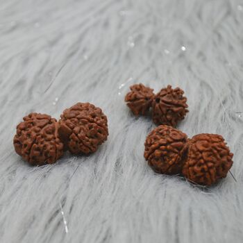 Nepali Gauri Shankar Rudraksha Beads, 2 of 9