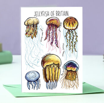 Wildlife Of Britain Greeting Cards Pack Volume Four, 2 of 12