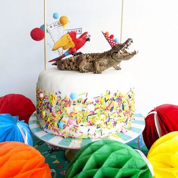 Personalised Crocodile Party Animal Cake Topper Set, 5 of 5