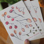 Autumn Berries Notecard Gift Set, thumbnail 1 of 4