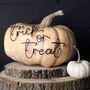Halloween Pumpkin Decorations; Trick Or Treat, thumbnail 1 of 2