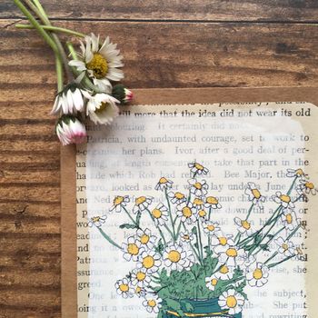 Feverfew Posy In Golden Syrup Tin Greeting Card, 2 of 3