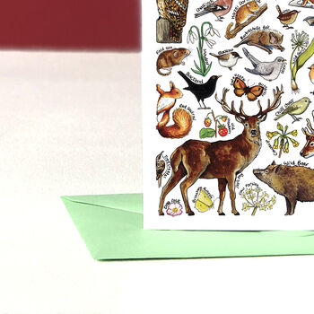 Woodland Wildlife Of Britain Greeting Card, 5 of 8