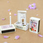 March Birth Flower Phlox Seeds And Birthday Candle Gift, thumbnail 1 of 8