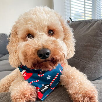 Blue Christmas Stocking Bandana, 4 of 5