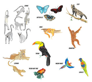 Personalised Jungle Animals Print, 6 of 8