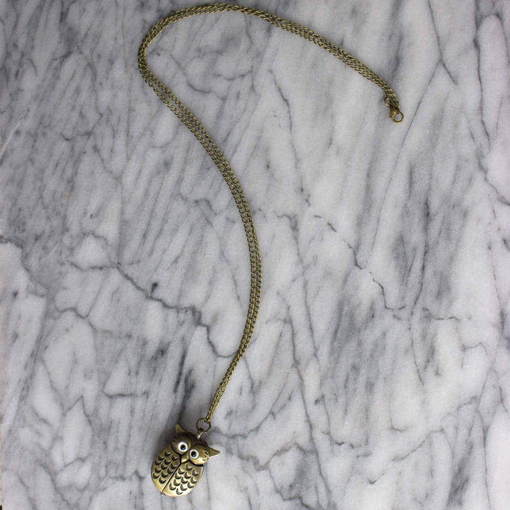 little owl pocket watch necklace by hayley & co