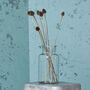 Glass Jar Vase, thumbnail 1 of 5