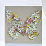 Butterflies Within Butterfly Birthday Card, Not 3D, thumbnail 1 of 12