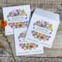 10 Wildflower Seed Packet Favours Colourful Butterflies, thumbnail 4 of 6