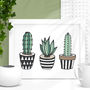 Cactus Print Illustrated Set In Green, thumbnail 1 of 3