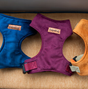 Made To Measure Velour Custom Dog Harnesses, 5 of 7