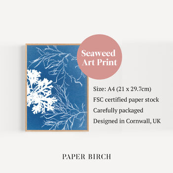 Blue Seaweed Art Print, Fan And Siphon Weed, 4 of 4