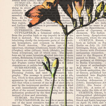 Freesia, Vintage Collection Print, 2 of 6