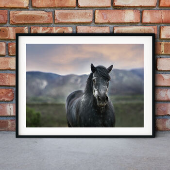 Framed Black Horse Print, 2 of 5