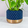 Midnight Ananas Planter, thumbnail 1 of 4