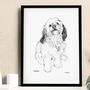 Personalised Dog Line Drawing, thumbnail 2 of 10
