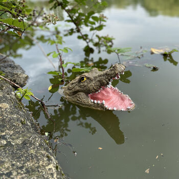 Mr Snappy Crocodile Head Pond Ornament, 4 of 6