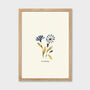 Blue Centaurea Flower Cottage Garden Botanical Print, thumbnail 3 of 4