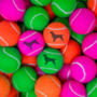 Spaniel Dog Tennis Balls, thumbnail 3 of 5