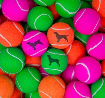 Spaniel Dog Tennis Balls, 3 of 5